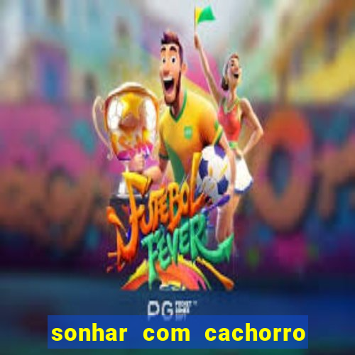 sonhar com cachorro numeros da mega sena